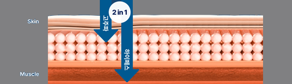 차이의원 엠페이스